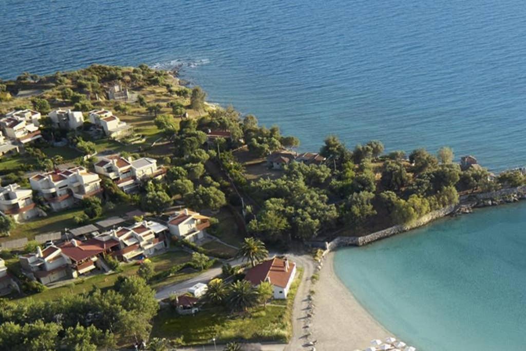 לאגומאנדרה Oliviera Villa מראה חיצוני תמונה
