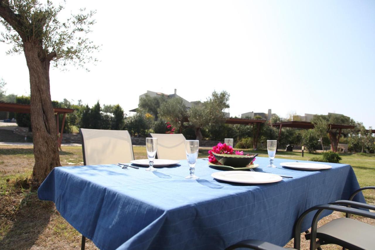 לאגומאנדרה Oliviera Villa מראה חיצוני תמונה
